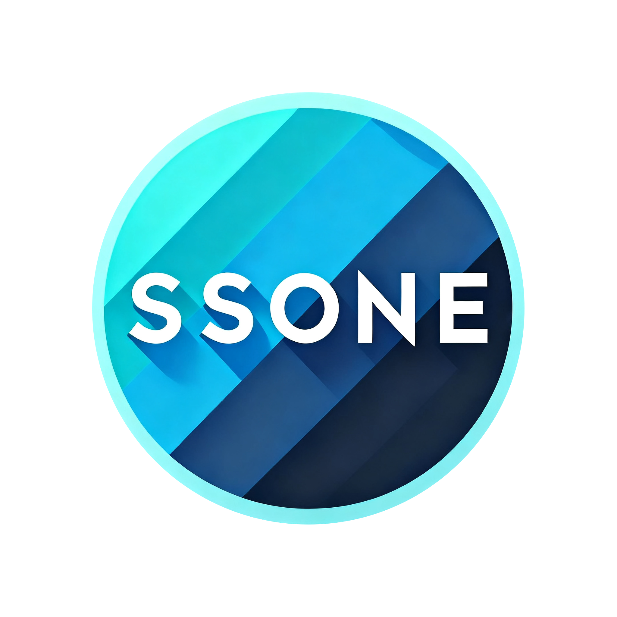 ssone 机场推荐评测截图